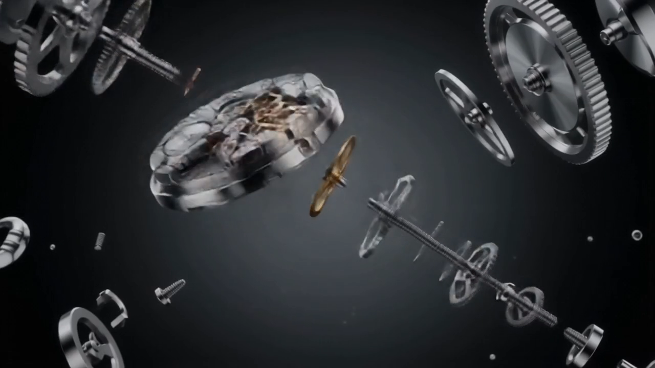 VERION luxury watch